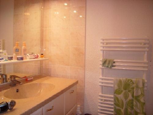 une salle de bain avec un lavabo et une douche dans l'établissement Duplex agréable 8 pers à 100m des pistes - FR-1-733-95, à Crest-Voland