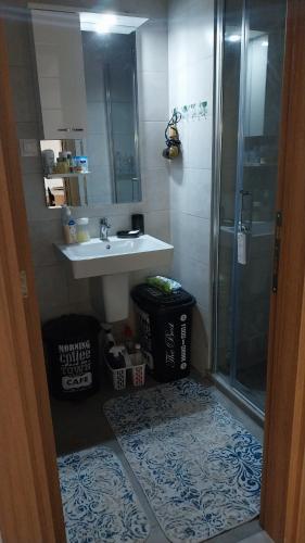 un bagno con doccia, lavandino e porta doccia in vetro di F&M Apartment No 18 a Skopje