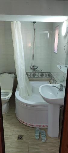 a bathroom with a tub and a toilet and a sink at Hotel Botanical in Samarkand
