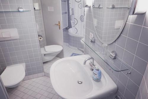 a bathroom with a sink and a toilet and a mirror at Dreierzimmer in Därligen