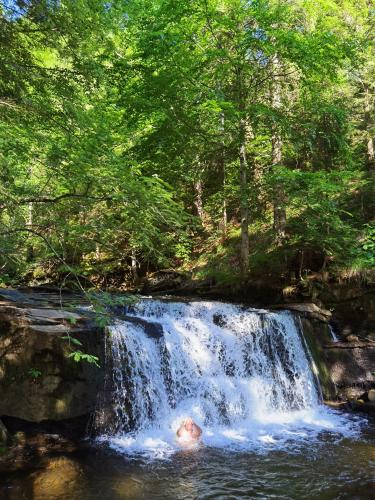 a person is swimming in a waterfall at APARTMENTS ROGLA LUKANJA 1 in Oplotnica