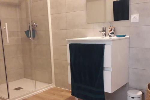 une salle de bain avec un lavabo et une douche dans l'établissement Très joli appartement T3 fraîchement rénové, dans résidence hôtellière, à Lecci