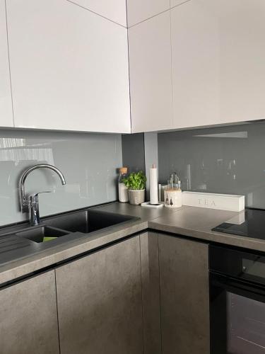 Kuchyň nebo kuchyňský kout v ubytování Apartman Eva, moderan stan u srcu Zagorja