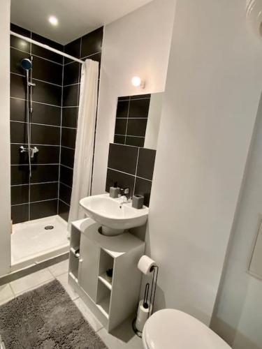 une salle de bain avec un lavabo, des toilettes et une douche dans l'établissement Vaste Appartement Rénové - Centre Ville, à Bourg-en-Bresse