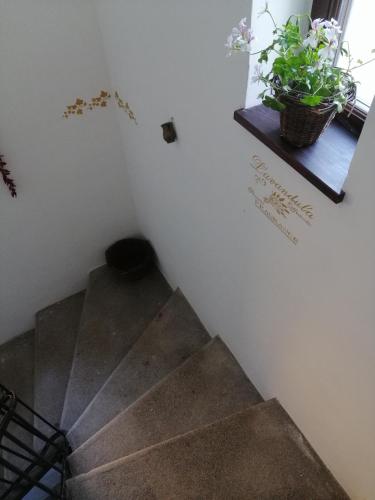 a staircase in a room with two potted plants at Kúria Apartman Budapest with free parking in Budapest