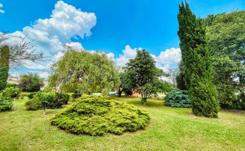 a garden with bushes and trees on a field at La vieille ferme de Gaillac in Gaillac