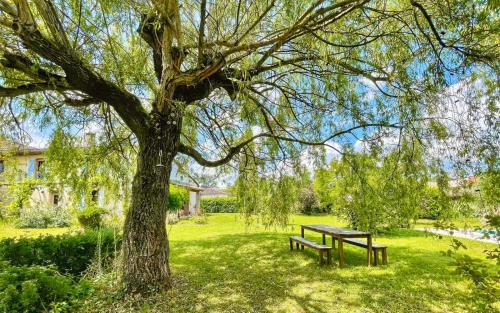 a park with a bench next to a tree at La vieille ferme de Gaillac in Gaillac