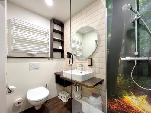 a bathroom with a toilet and a sink and a mirror at Familienhotel "Rhön Feeling" in Bernshausen