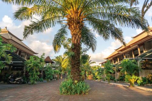 a palm tree in the middle of a street at Townhouse, Pool & Kitchen, Ubud, Cucus Mondok in Ubud