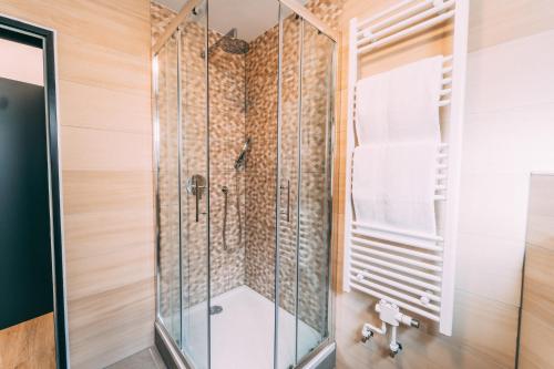 a shower in a bathroom with a glass shower stall at Premium Apartments Koblenz in Koblenz
