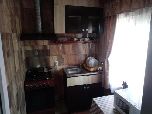 Il comprend une petite cuisine équipée d'une cuisinière et d'un évier. dans l'établissement Casa de vacanta, à Eforie Nord