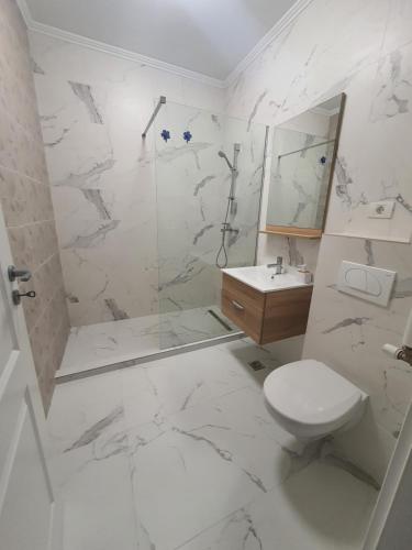 une salle de bains avec douche, toilettes et lavabo dans l'établissement Studio Isabela, à Năvodari