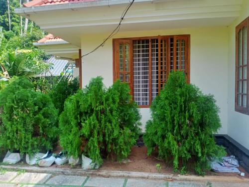 アレッピーにあるSinai Homestayのギャラリーの写真