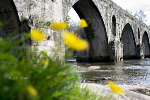 an old stone bridge over a river with yellow flowers at Quinta do Burgo - Nature Hotel in Amares