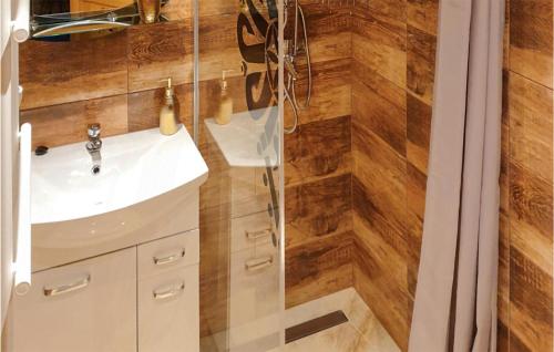 a bathroom with a sink and a shower at Beautiful Home In Ostrowsko With Wifi in Ostrowsko
