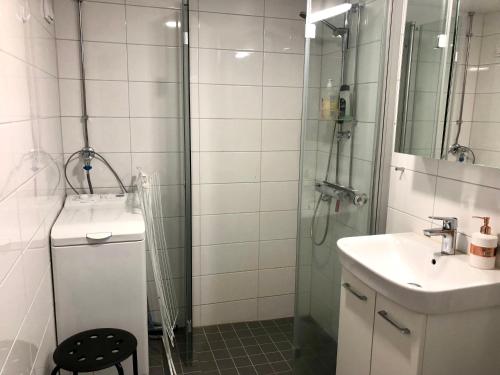 a bathroom with a shower and a sink and a toilet at Sweet home 40 City Center Punavuori in Helsinki