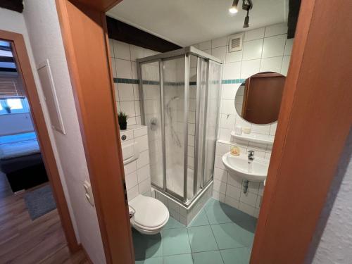 uma casa de banho com um chuveiro, um WC e um lavatório. em Ferienwohnung Weser 3 em Holzminden