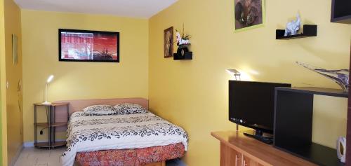 une chambre avec un lit et une télévision à écran plat dans l'établissement LA MIOUGRANO, Studio 25m2, capacite 2 adultes et 2, à Fréjus