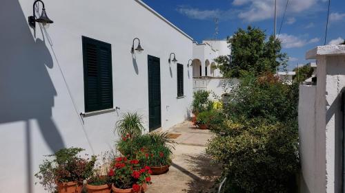 a white building with green shuttered windows and potted plants at Appartamento da Anna in Porto Cesareo