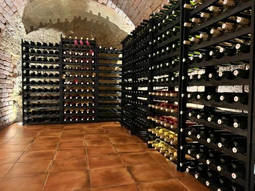 a wine cellar with a wall of wine bottles at Prostě sklípek in Jaroslavice