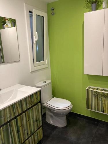 a green bathroom with a toilet and a sink at Precioso Dúplex con terraza a 5 minutos playa y 20 minutos de Barcelona in Premiá de Mar
