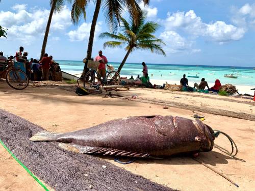 Landskap semula jadi dekat dengan lodge