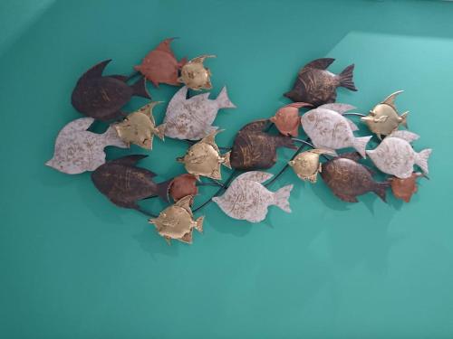 a group of seashells on a blue background at El rincon de la playita VFT/CA /03874 in Cádiz