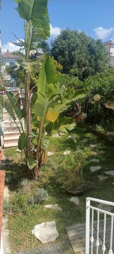 Φωτογραφία από το άλμπουμ του Reginella al mare σε Policastro Bussentino