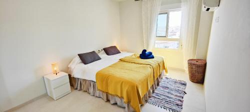AP379 Casa Seger