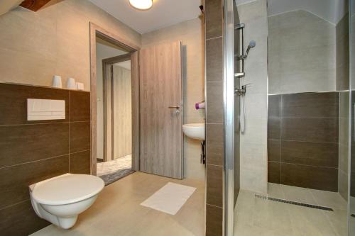 a bathroom with a toilet and a sink and a shower at Vila Vyšehrad in Český Krumlov