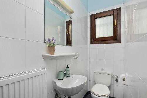 a white bathroom with a toilet and a sink at Villa Lianolia in Perítheia