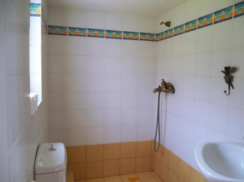 een badkamer met een douche, een toilet en een wastafel bij Vlichos Studio Apartment in Hydra
