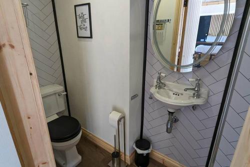 een badkamer met een toilet, een wastafel en een spiegel bij Romantic Hideaway in Trawsfynydd