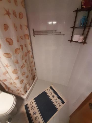 Baño pequeño con aseo y cortina de ducha en Maisonette Basilissa, en Nea Potidaea