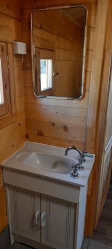 a bathroom with a sink and a mirror at Churchill Cabin in Maryborough