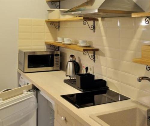 a kitchen with a stove and a microwave at HaPPy Inn Ugnė, The studio is in the heart of the old town, self-check-in, car-parking in Vilnius