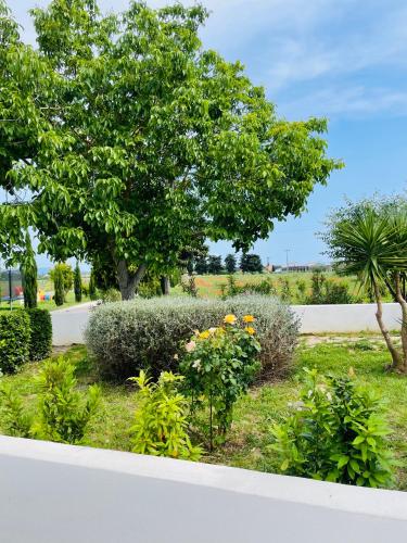 Κήπος έξω από το Appartamenti Podere San Sebastiano