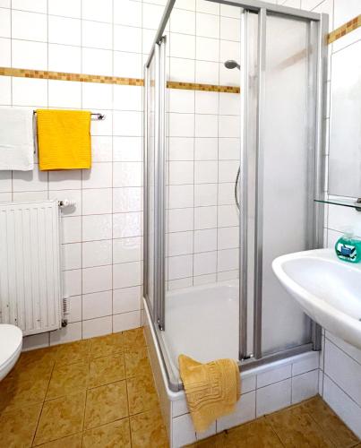 een badkamer met een douche en een wastafel bij Ferienwohnung Sterngasse in Melk