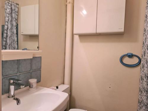 een kleine badkamer met een wastafel en een toilet bij Appartement Cap d'Agde, 1 pièce, 4 personnes - FR-1-249-20 in Cap d'Agde
