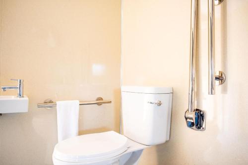 a small bathroom with a toilet and a sink at Canvas & Campfires, Luxury Safari Tent Glamping, only Seren Tent has a hot tub in Lampeter