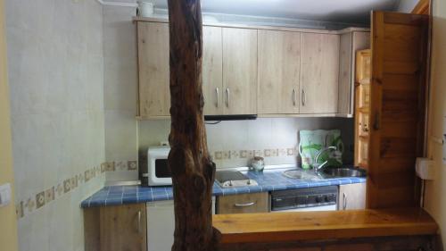 eine kleine Küche mit Holzschränken und einer Mikrowelle in der Unterkunft Casa Chica in Cazorla