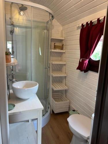 une salle de bain avec une douche, un lavabo et des toilettes dans l'établissement La Roulotte du Mas, à Saintes-Maries-de-la-Mer