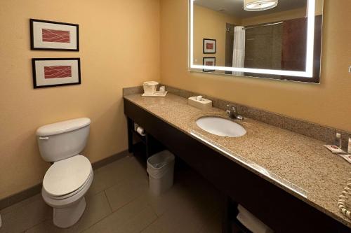 uma casa de banho com um WC, um lavatório e um espelho. em Comfort Inn & Suites em Rogersville