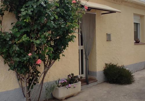 Foto Casa Lo Fangar - Deltebre 6