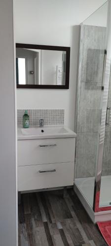 een badkamer met een witte wastafel en een spiegel bij appartement du caractère in Elbeuf