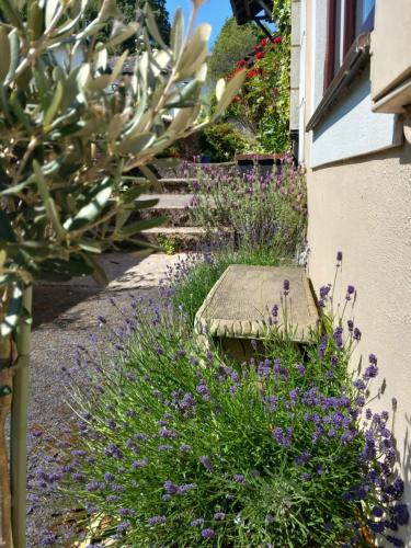 a garden with purple flowers and a bench next to a building at Bossell Cottage Devon in Buckfastleigh
