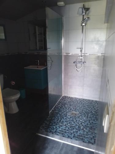 uma casa de banho com um chuveiro, um lavatório e um WC. em Chambres d'Hôtes Roseland em Paray-le-Monial