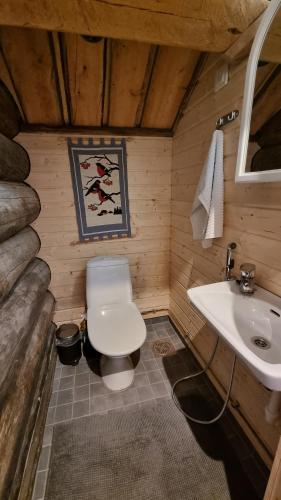 baño con aseo y lavamanos en una cabaña en Villa Kaunisvirta 