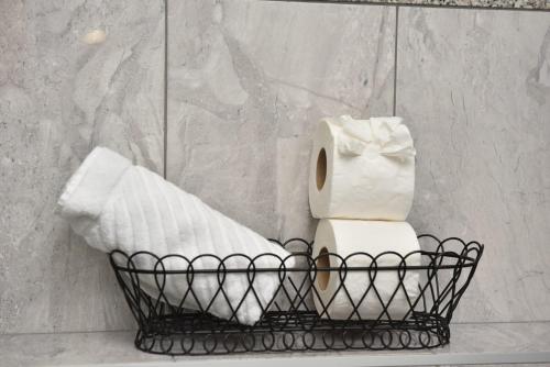 a basket with toilet paper and a toilet paper dispenser at Apartment Kap in Ivanica