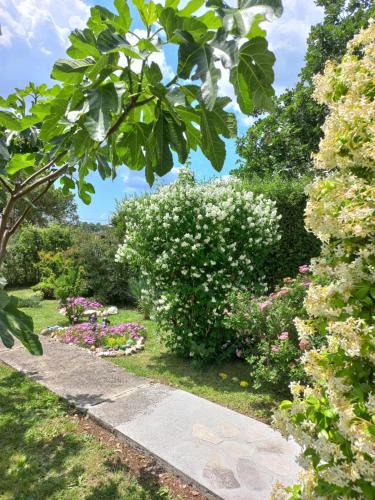 Un jardín fuera de Sun Garden